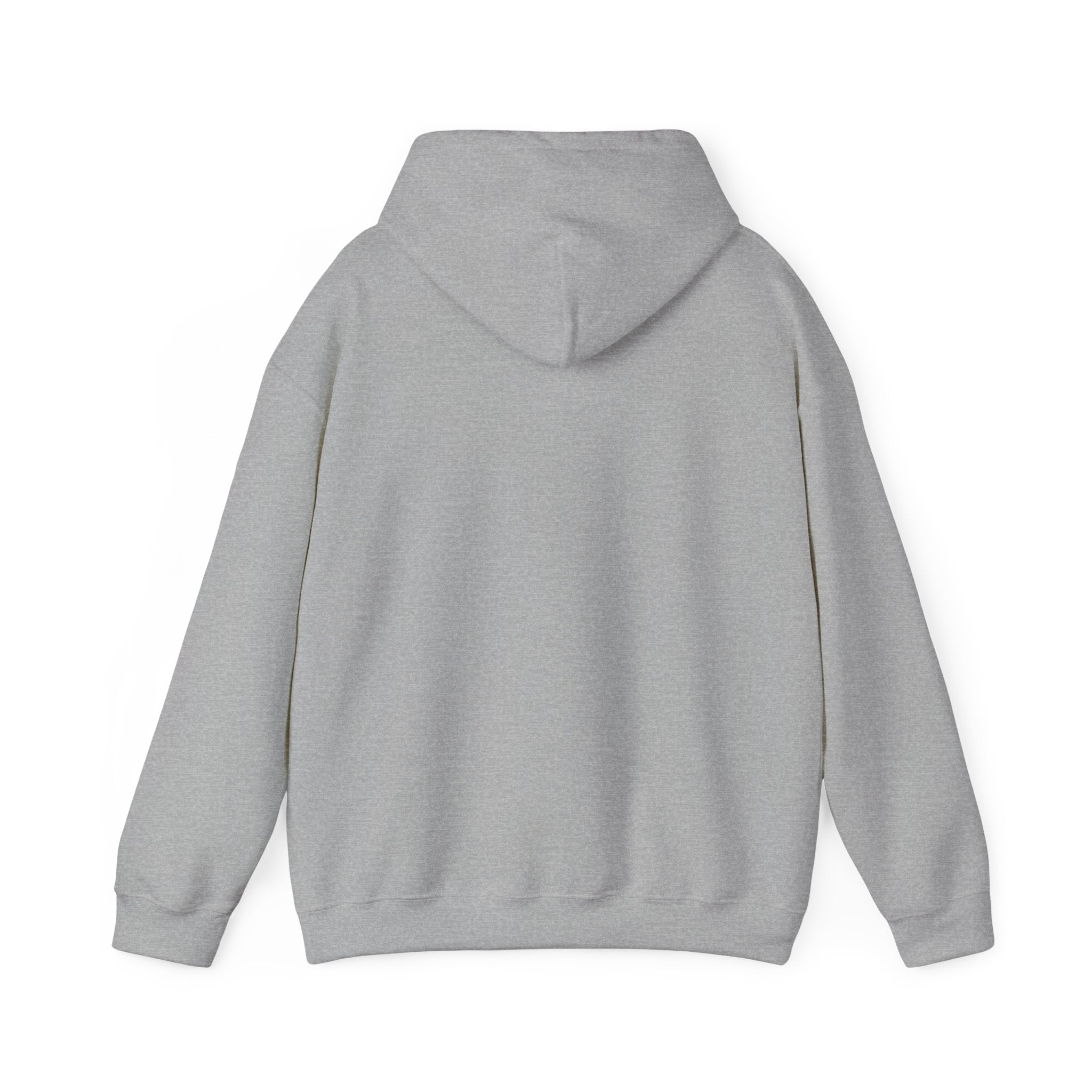 Hoodie — "Off to Do Kingdom Work" Goose Cartoon Christian Hoodie (Proverbs 31:25-27)